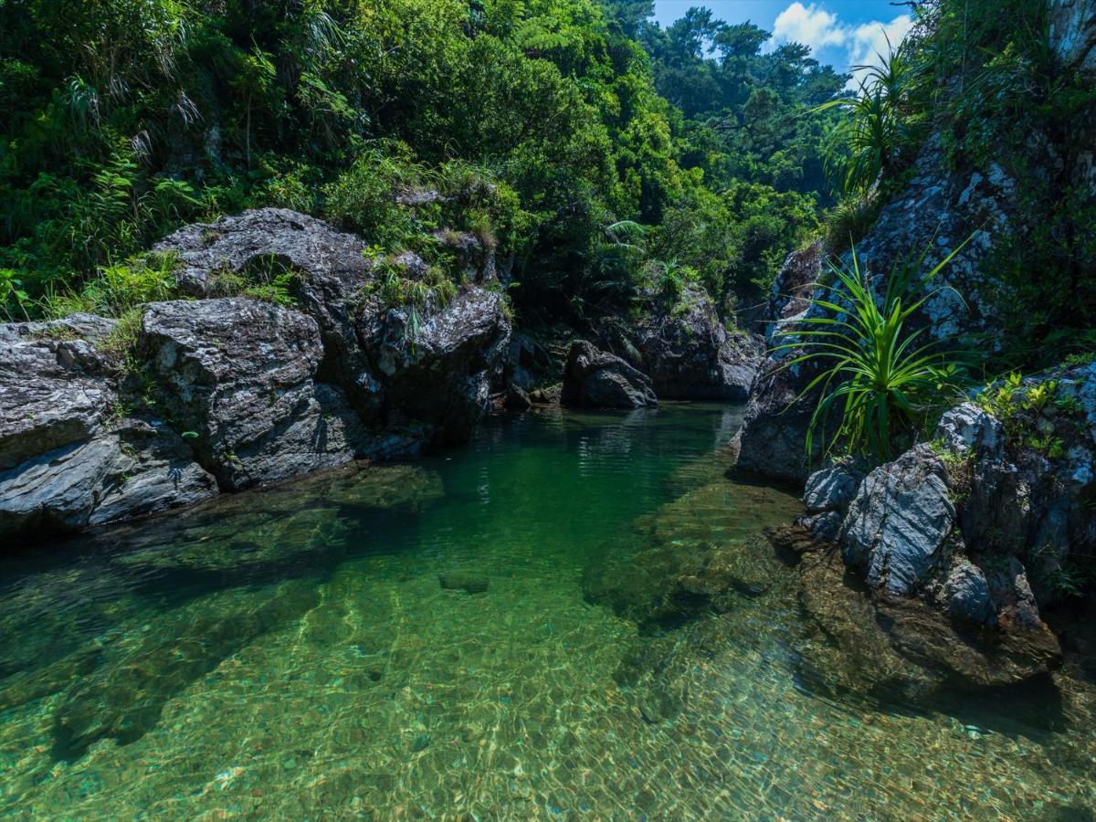 Ada Garden Hotel Okinawa Kunigami Zewnętrze zdjęcie
